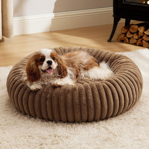 Cozy Up This Winter: The Plush Round Pet Bed
