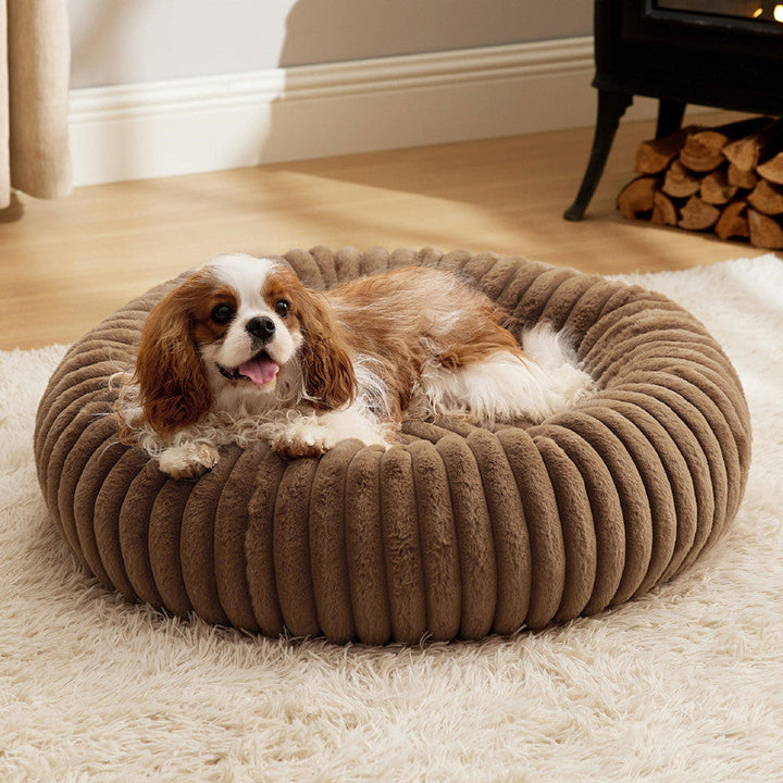 Cozy Up This Winter: The Plush Round Pet Bed